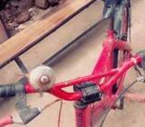 Bicycle