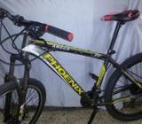 বাইসাইকেল phoenix-argus