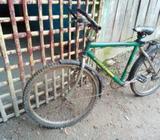 Cycle
