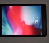 i Pad mini 2