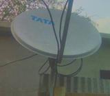 ফ্রি ডিà¦