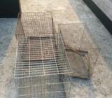 কবুতরের খাচা এবং খাবার জিনিà¦