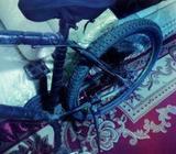 Serius Rock Villi 7&3. Gear