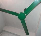 nice fan