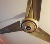 সিলিং ফ্যানà¥