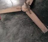 সুলভ মূল্যে ফ্যান টি বিক্রি করা হবেà¥