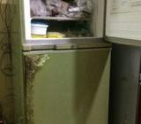 রানিং ফ্রিà¦