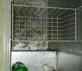 ডিপ ফ্রিজ singer