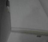 ডিপ ফ্রিজ singer