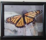 2 Beautiful Wall-mate