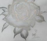 Realistic rose sketch