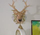 হরিণের মাথা ও ঘরà¦