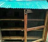 কবুতরের খাচà¦