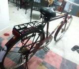 Avon cycle