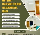 3BHK Furnished Apartment for Rent in Bashundhara R/A